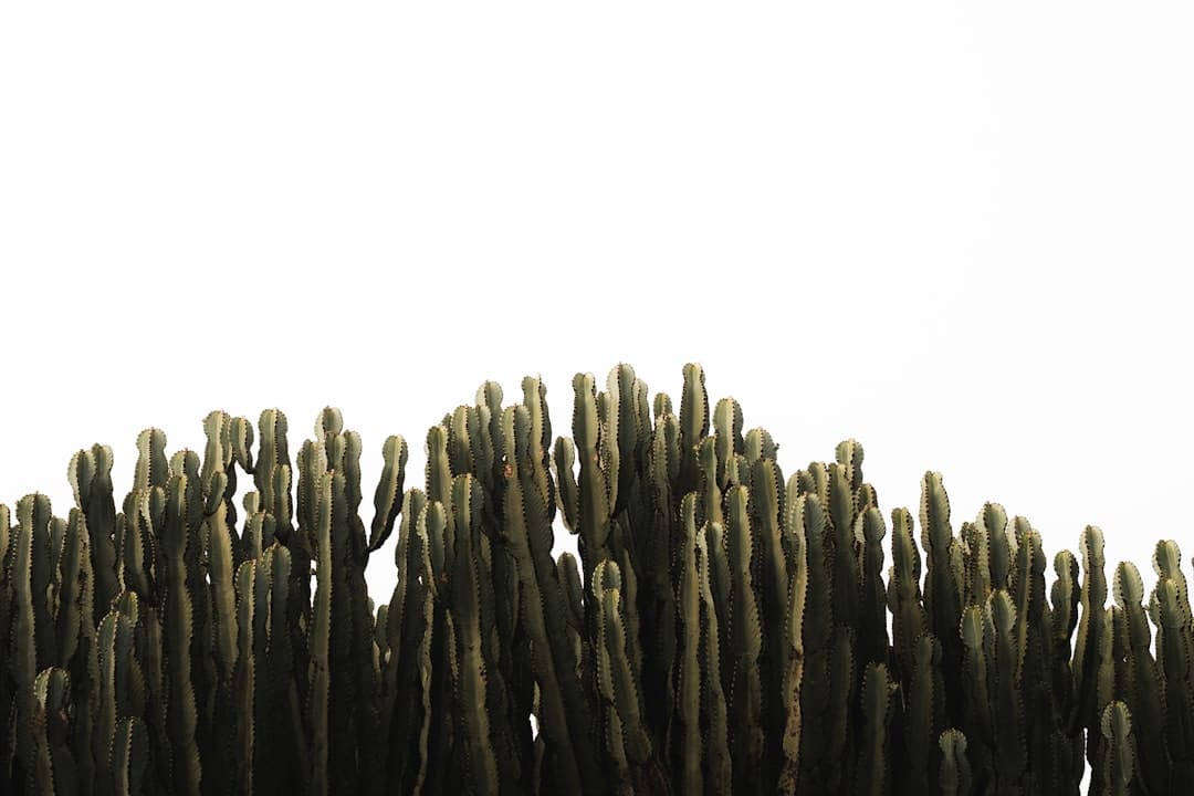 爱是万物，生生不息——朗艺西安一周年暨三人行七周年盛典圆满成功